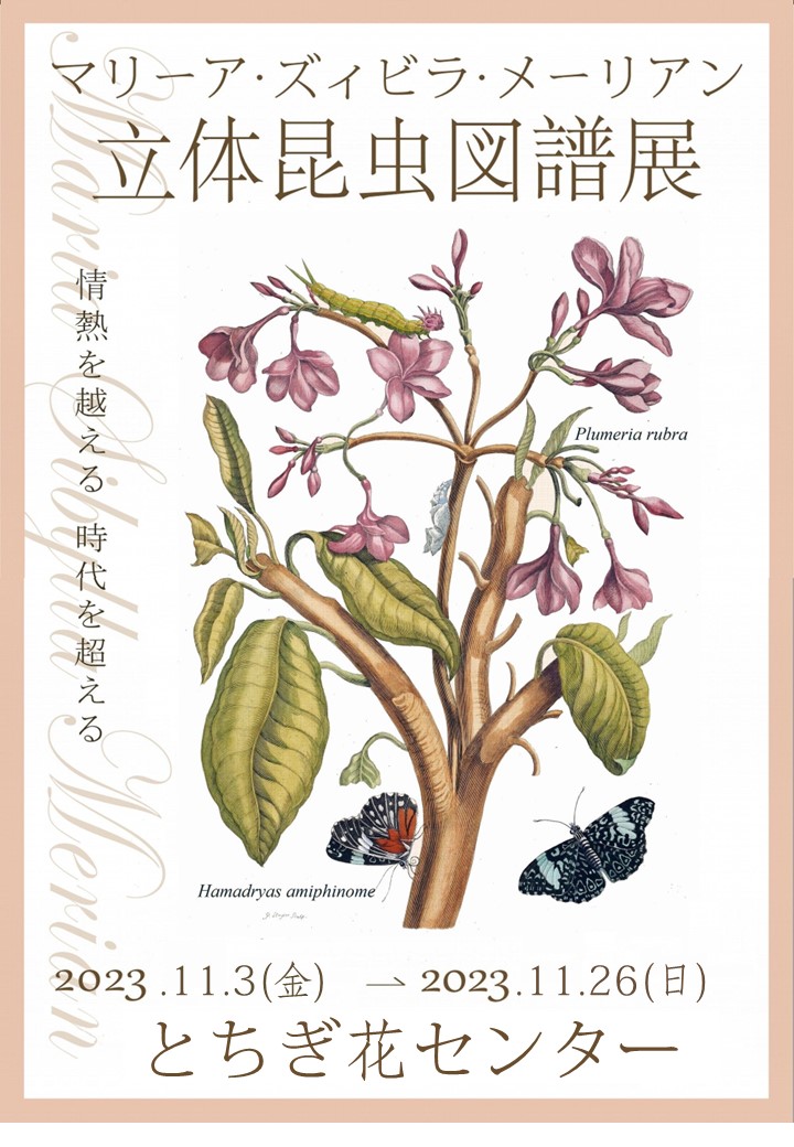 「特別展　マリーア・ズィビラ・メーリアン　立体昆虫図譜展」開催